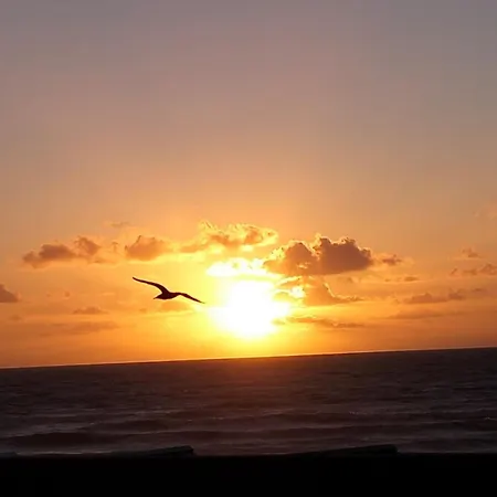 Egg - Les Gens De Dieppe